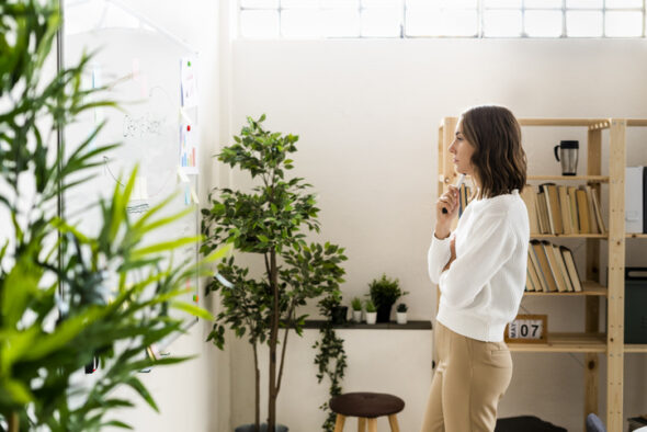 Hotel business plan: Beginners guide